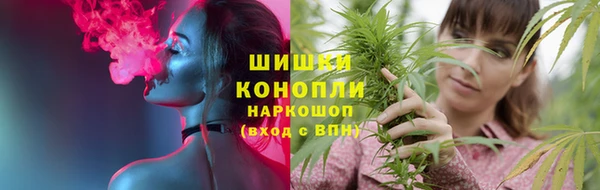 спайс Алзамай