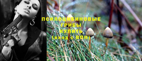 прущие крисы Мегион